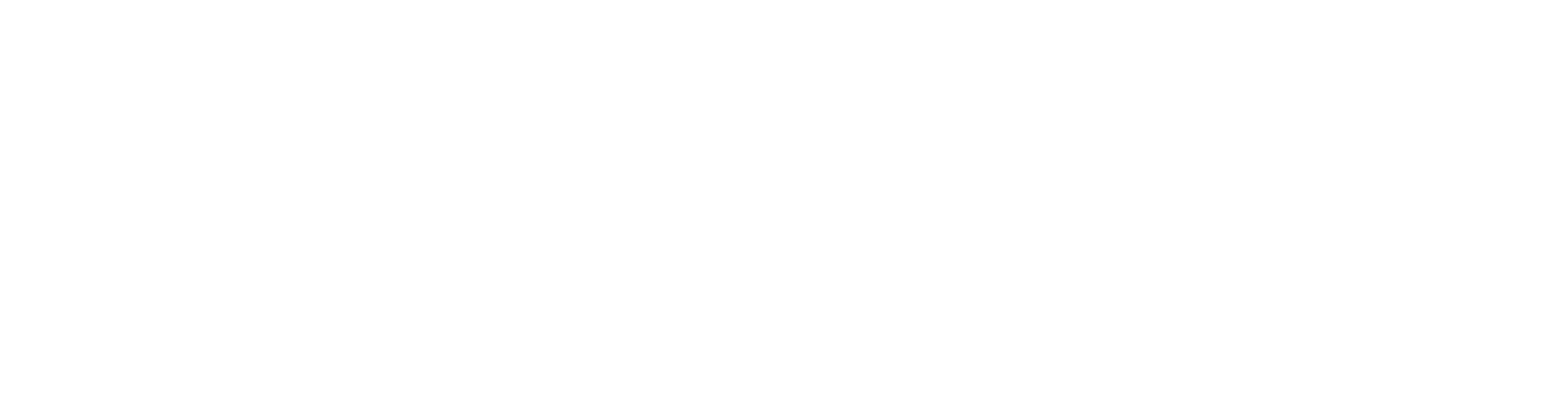 DANTE ANIMUS Logo